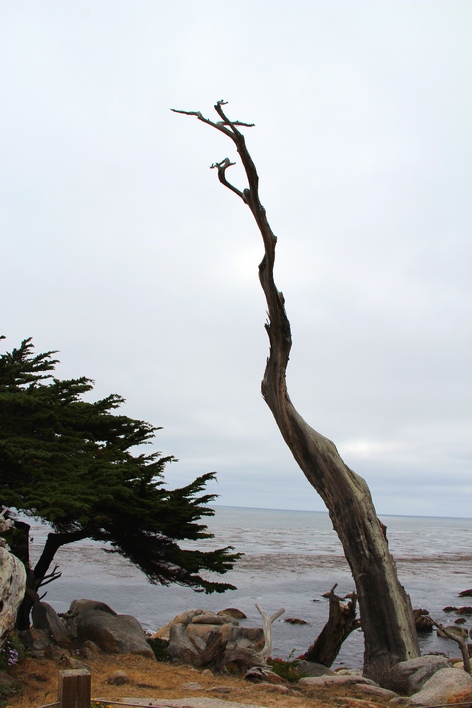 ��������� ����������